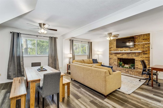 dining room featuring hardwood / wood-style flooring, a fireplace, crown molding, ceiling fan, and a textured ceiling