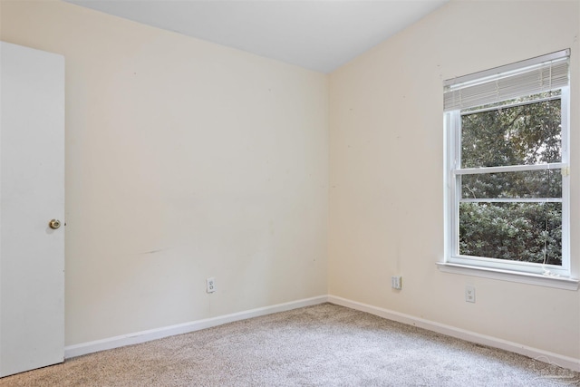 empty room with lofted ceiling, carpet, and plenty of natural light