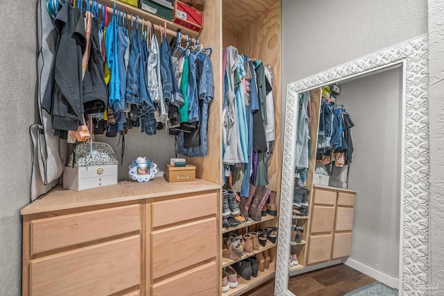 4684 Evelyn St, Pace, FL 32571 - view of walk in closet