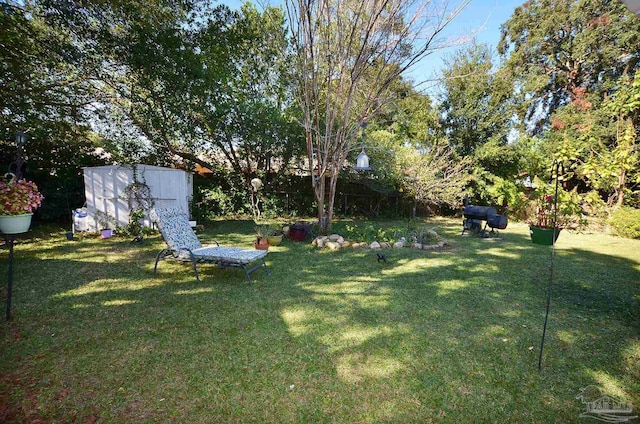 view of yard featuring a shed