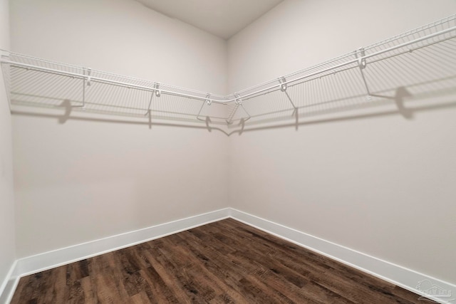 2748 Woodman Loop, Cantonment, FL 32533 - walk in closet featuring dark wood-style flooring