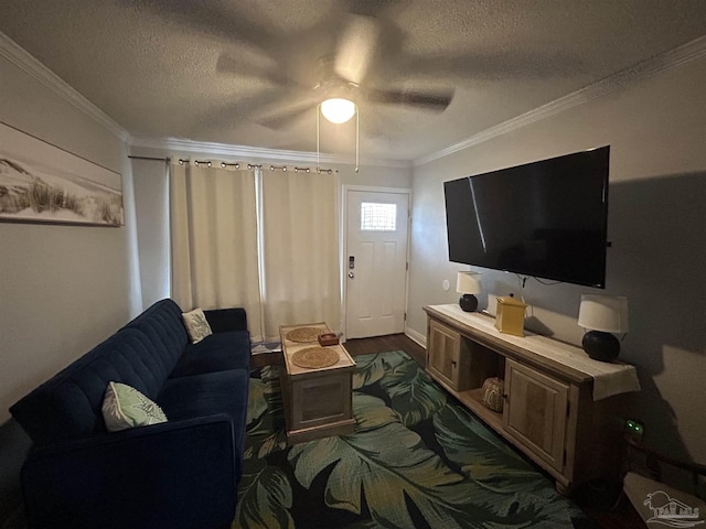 living room featuring crown molding, dark wood-type flooring, and a textured ceiling