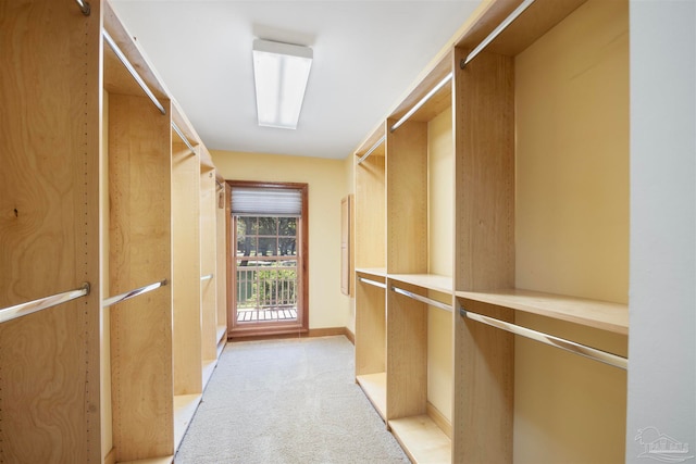 spacious closet with light colored carpet