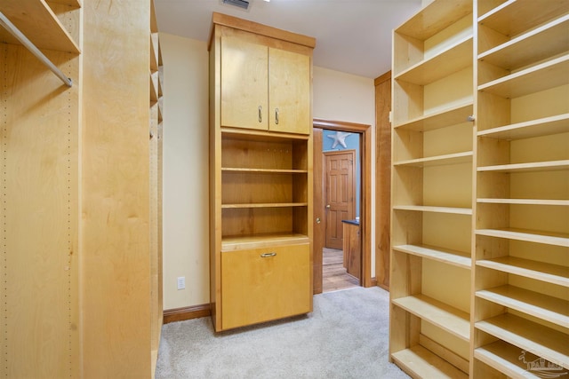 walk in closet with light carpet