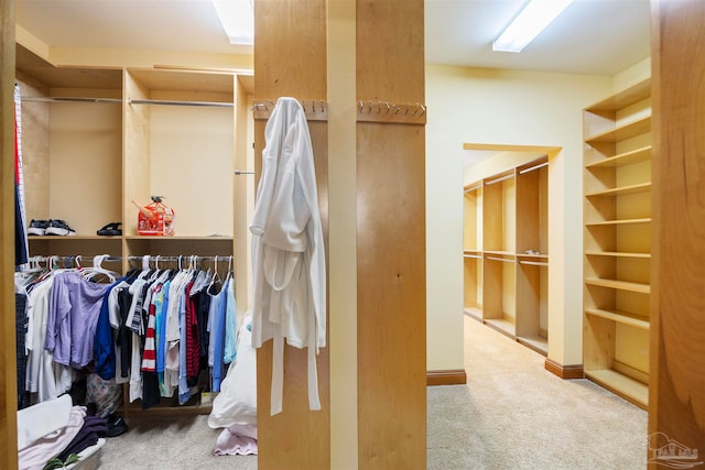 spacious closet with carpet flooring