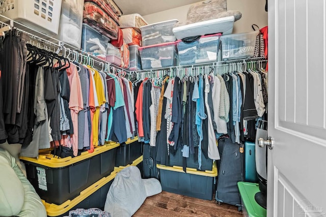 spacious closet with dark wood-type flooring