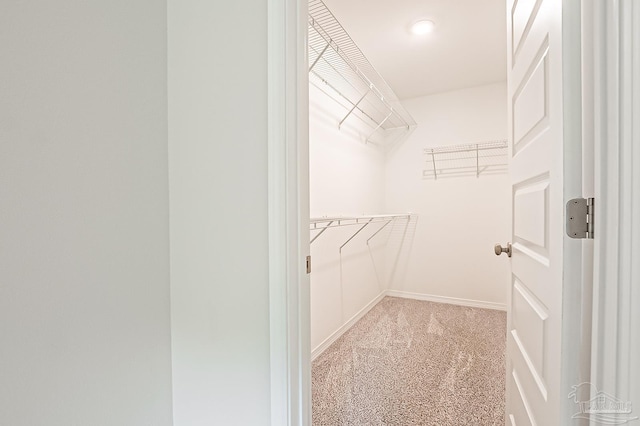 7929 Huntington Creek Ln, Pensacola, FL 32526 - view of spacious closet