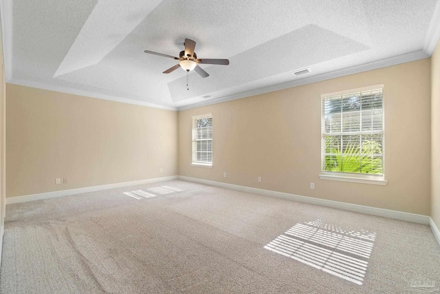 spare room with ornamental molding, a raised ceiling, and a textured ceiling