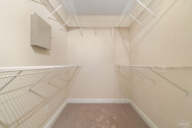 walk in closet featuring carpet floors