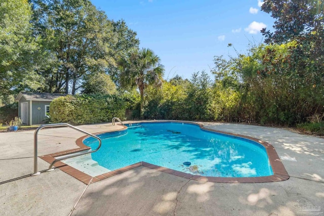 view of swimming pool with a patio and a storage shed