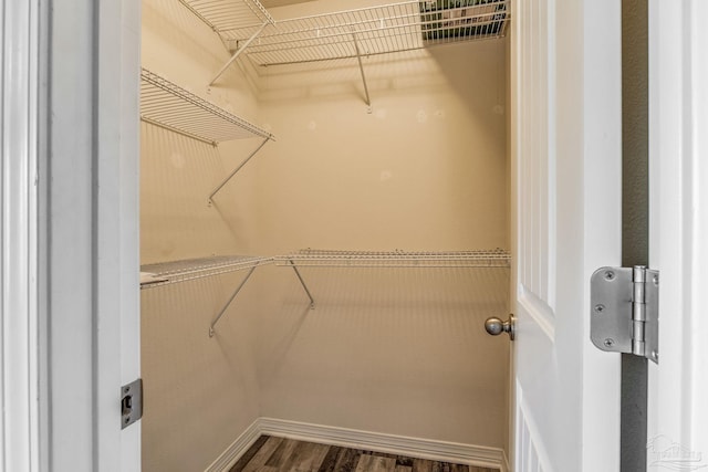 spacious closet featuring hardwood / wood-style floors