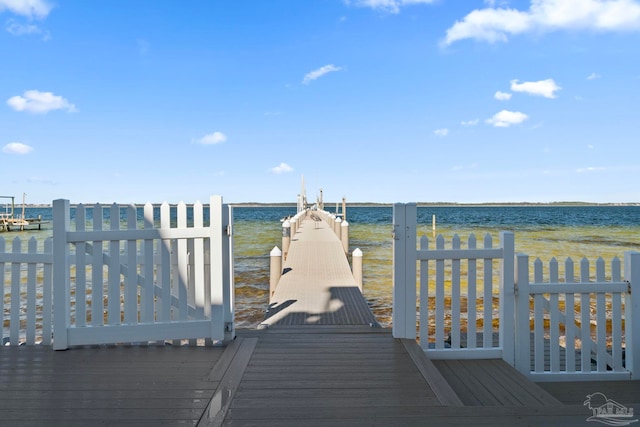 dock area with a water view