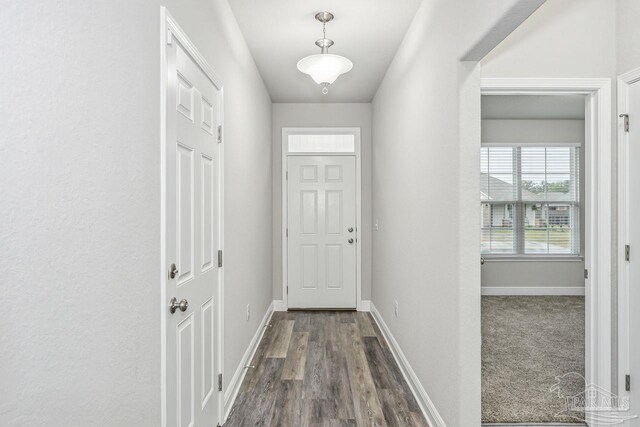 entryway with dark wood-type flooring