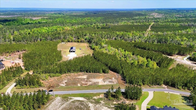 drone / aerial view with a view of trees