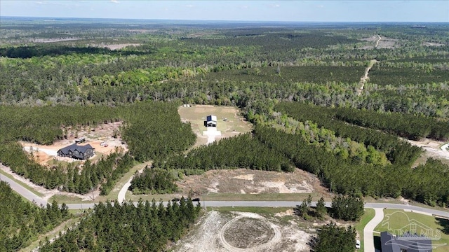 bird's eye view with a forest view