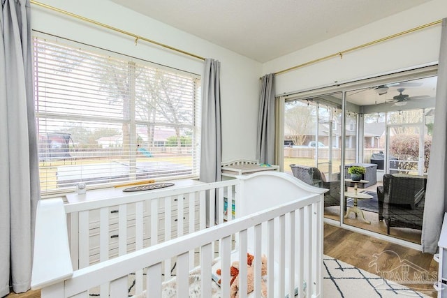 bedroom featuring wood finished floors and access to exterior