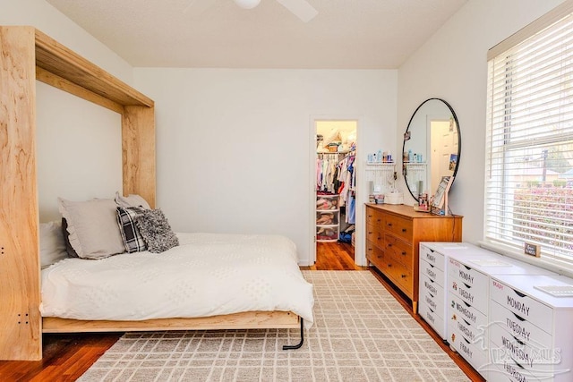 bedroom featuring a walk in closet, multiple windows, a closet, and wood finished floors