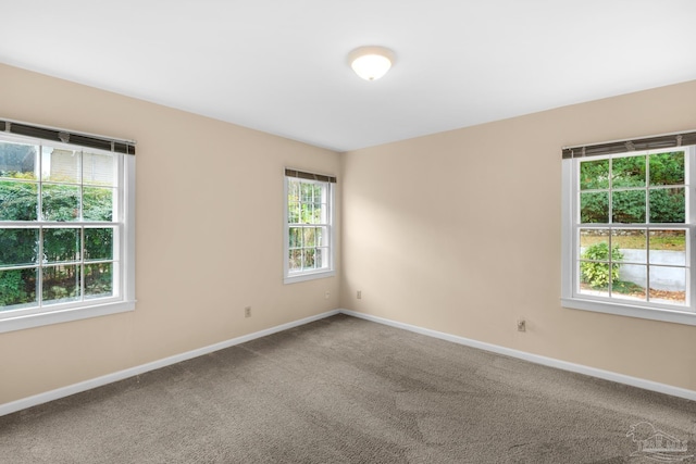 unfurnished room with carpet floors