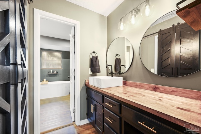 bathroom featuring hardwood / wood-style flooring and vanity