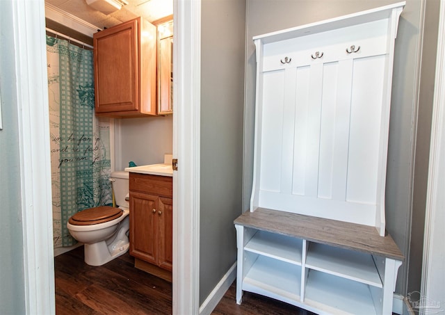 bathroom with wood-type flooring, vanity, and toilet