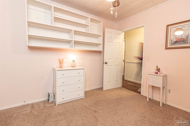 interior space with light colored carpet and ornamental molding