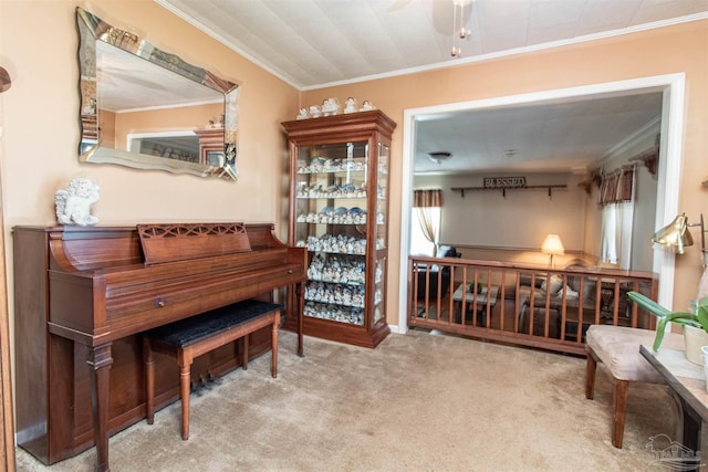 misc room featuring light carpet and crown molding