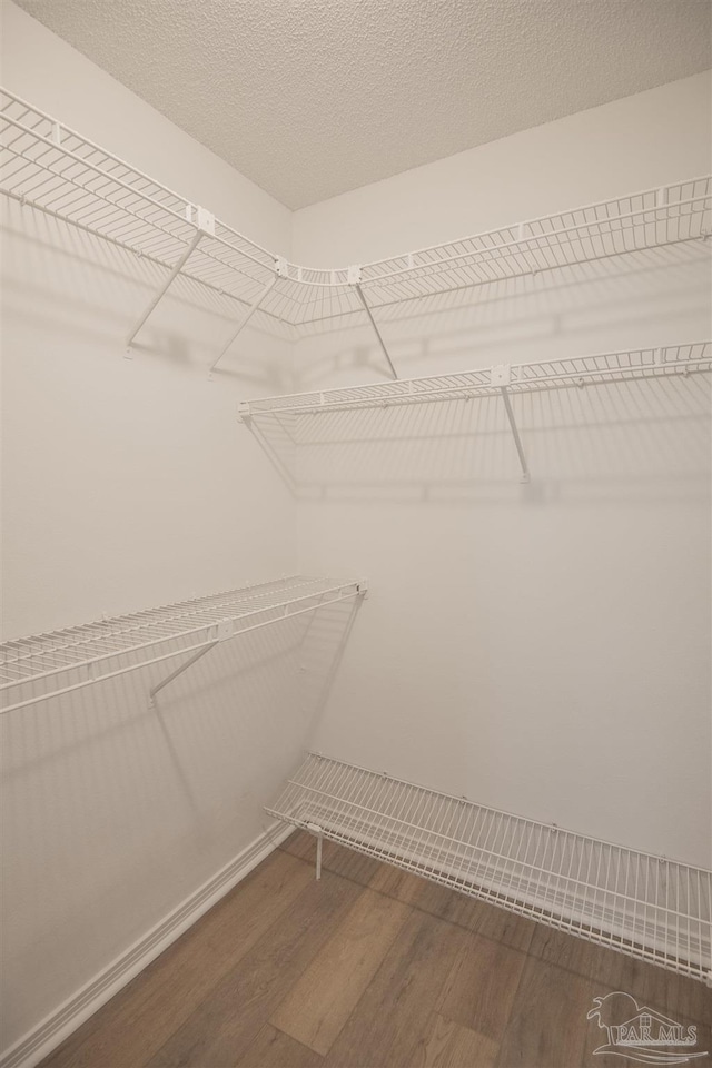 spacious closet featuring wood finished floors