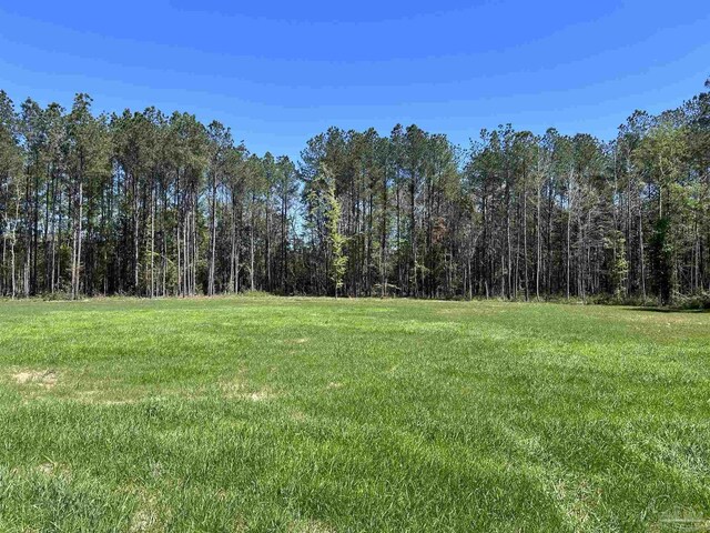 0 John Lowery Rd, Jay, FL 32565