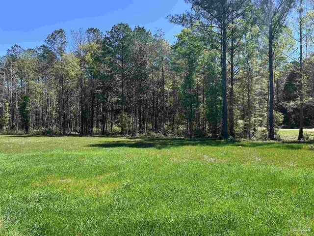 0 John Lowery Rd, Jay, FL 32565