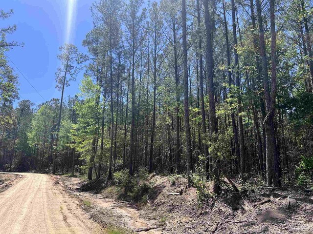 0 John Lowery Rd, Jay, FL 32565