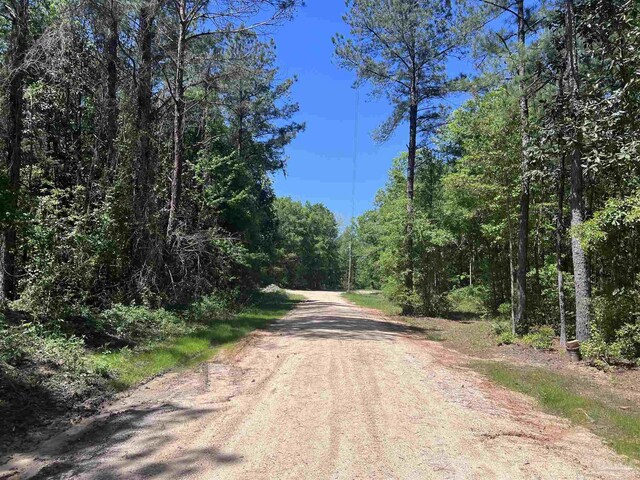 0 John Lowery Rd, Jay, FL 32565