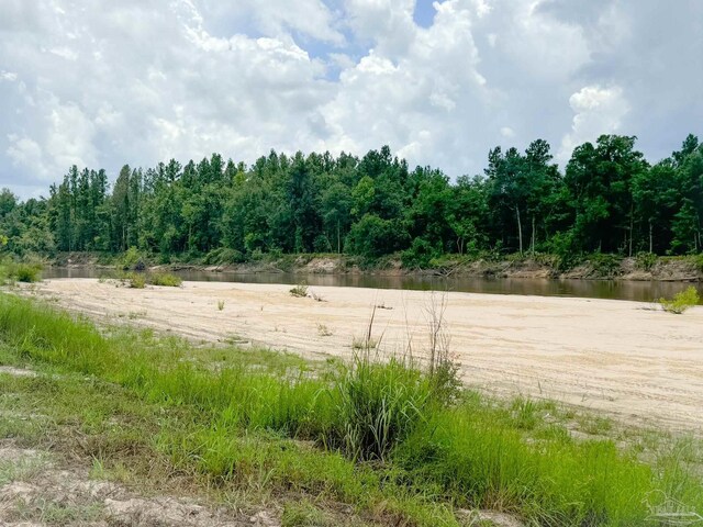 0 John Lowery Rd, Jay, FL 32565