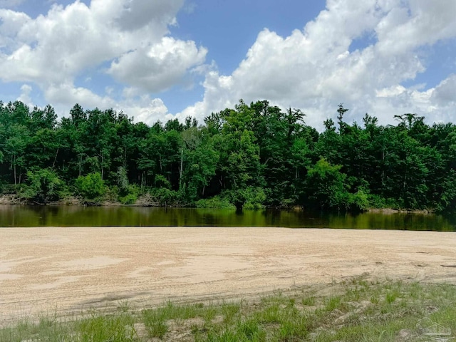0 John Lowery Rd, Jay, FL 32565