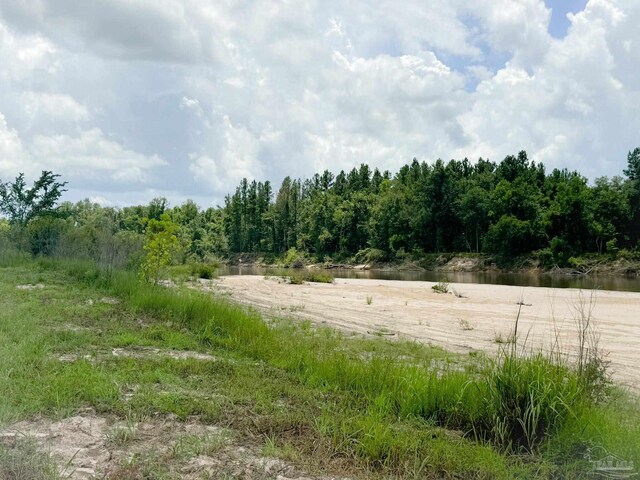 0 John Lowery Rd, Jay, FL 32565