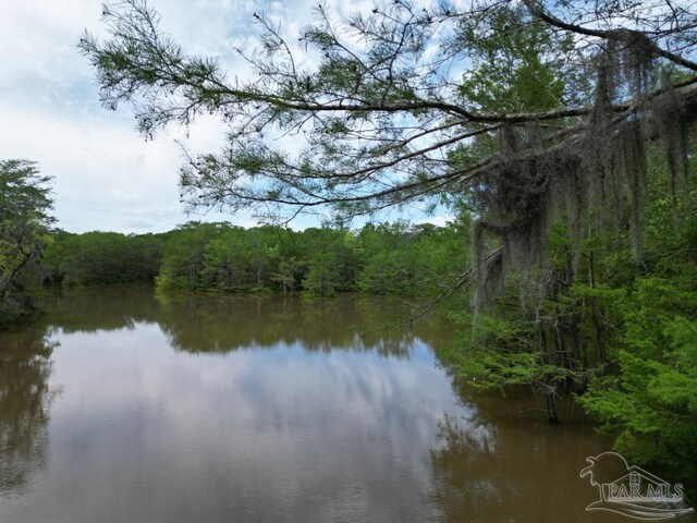 0 John Lowery Rd, Jay, FL 32565