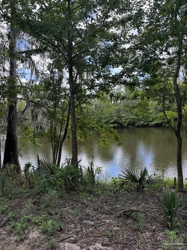 0 John Lowery Rd, Jay, FL 32565