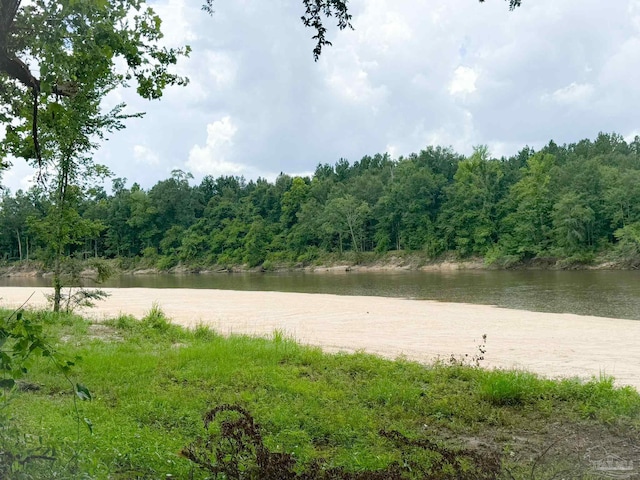 0 John Lowery Rd, Jay, FL 32565