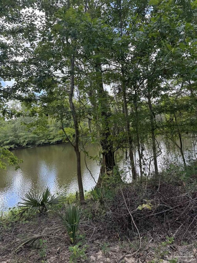 0 John Lowery Rd, Jay, FL 32565
