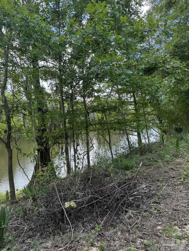 0 John Lowery Rd, Jay, FL 32565