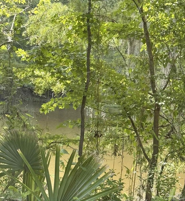 0 John Lowery Rd, Jay, FL 32565