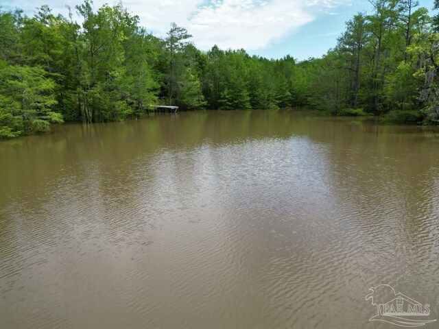0 John Lowery Rd, Jay, FL 32565