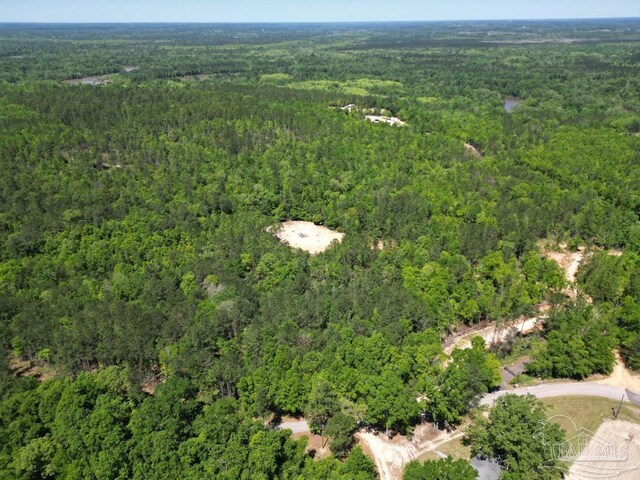 0 John Lowery Rd, Jay, FL 32565
