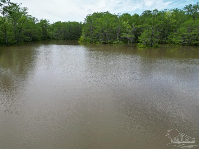 0 John Lowery Rd, Jay, FL 32565