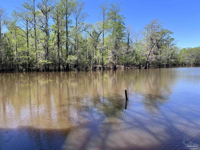 0 John Lowery Rd, Jay, FL 32565