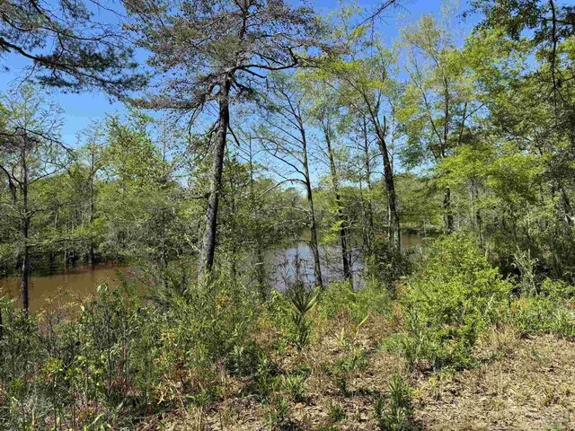 0 John Lowery Rd, Jay, FL 32565