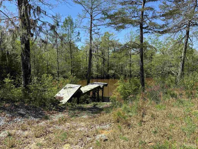 0 John Lowery Rd, Jay, FL 32565
