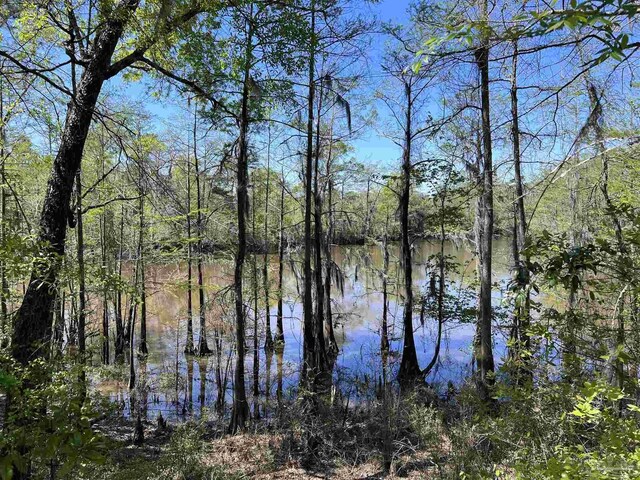 0 John Lowery Rd, Jay, FL 32565