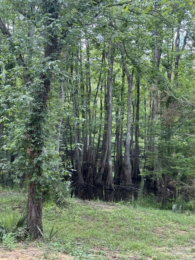 0 John Lowery Rd, Jay, FL 32565