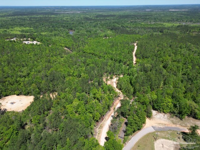 0 John Lowery Rd, Jay, FL 32565