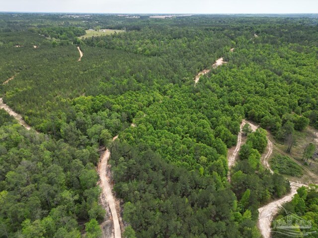 0 John Lowery Rd, Jay, FL 32565